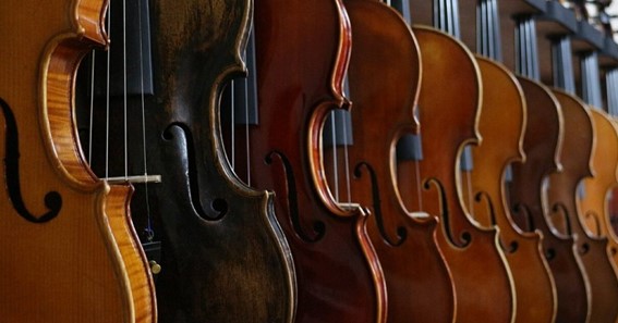 Top 11 Best Violin Brands