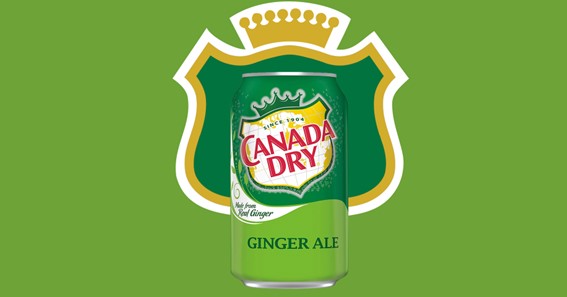 Top 10 Ginger Ale Brands